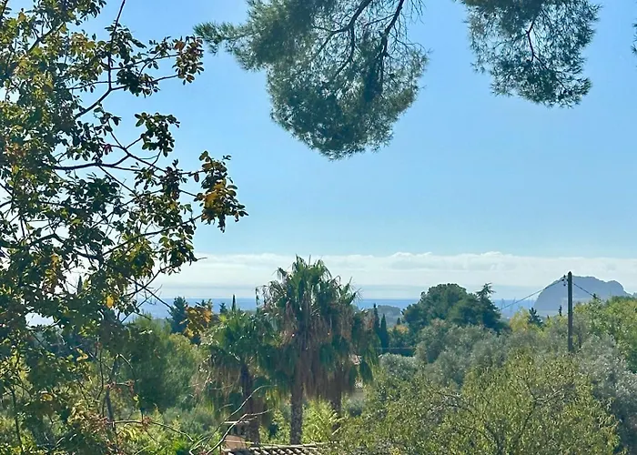 Ceyrenite - La Ciotat Alpehytte *
