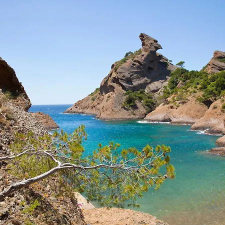 Ceyrenite - La Ciotat * Ceyreste